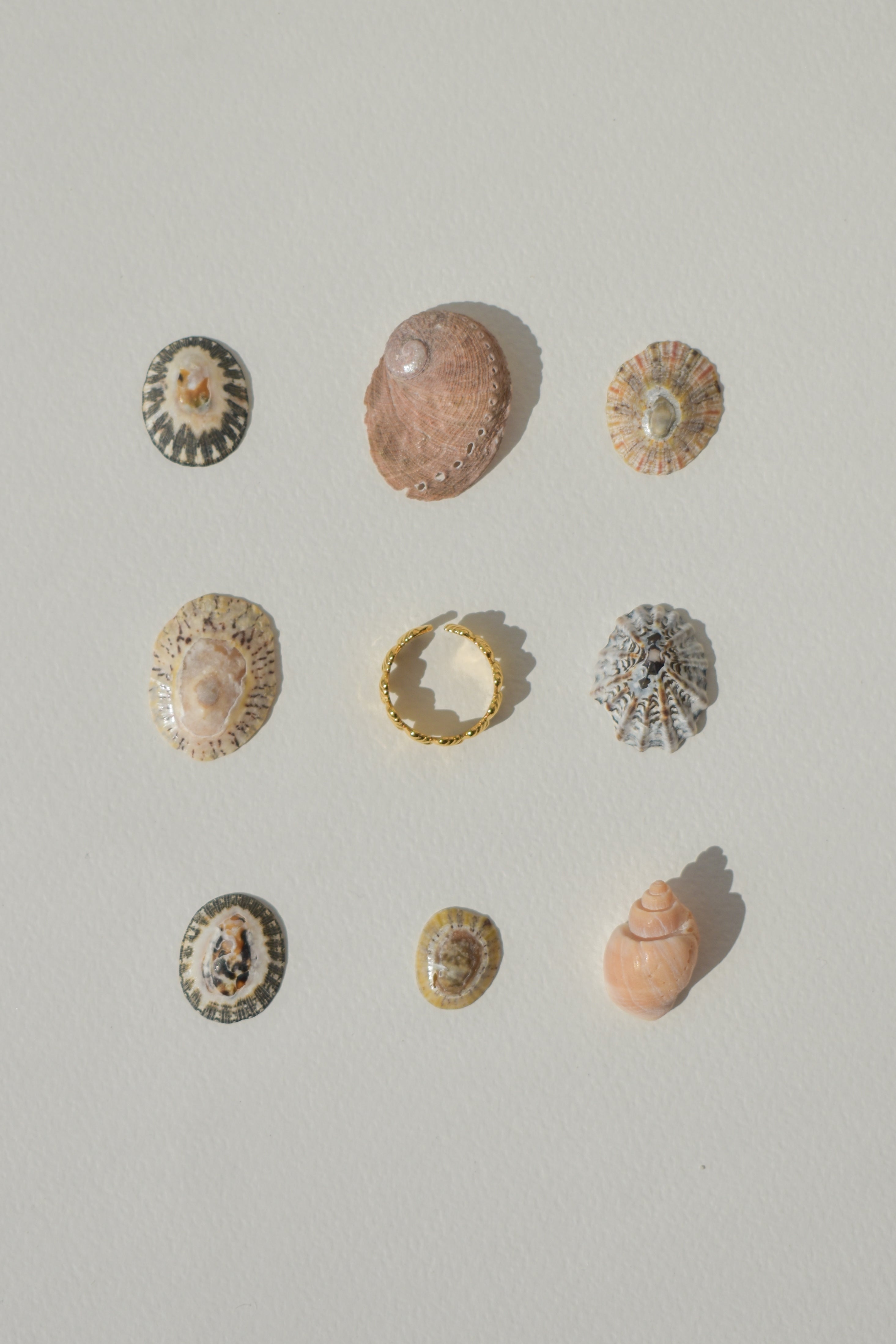 Rings